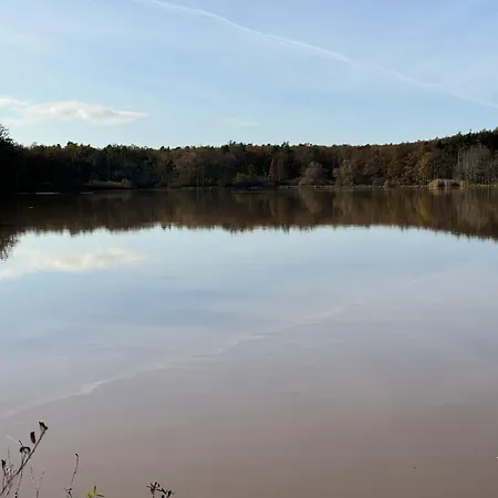 Reuthsee & Komfort & Hundefreundlicher Urlaub In Der Rhoen בית נופש *