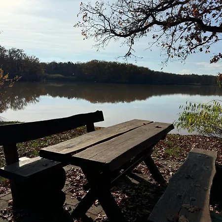 Holiday home Reuthsee & Komfort & Hundefreundlicher Urlaub In Der Rhoen Sulzdorf an der Lederhecke