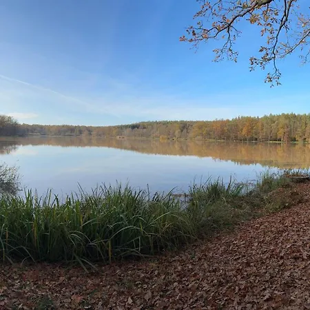 Reuthsee & Komfort & Hundefreundlicher Urlaub In Der Rhoen Сasa de vacaciones *