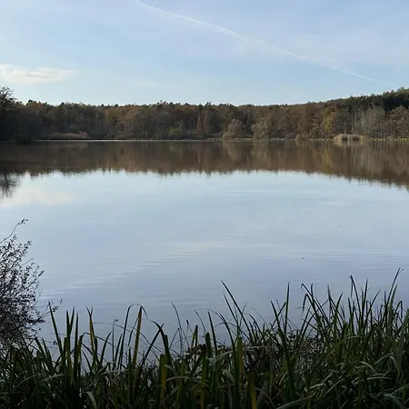 Reuthsee & Komfort & Hundefreundlicher Urlaub In Der Rhoen * Sulzdorf an der Lederhecke