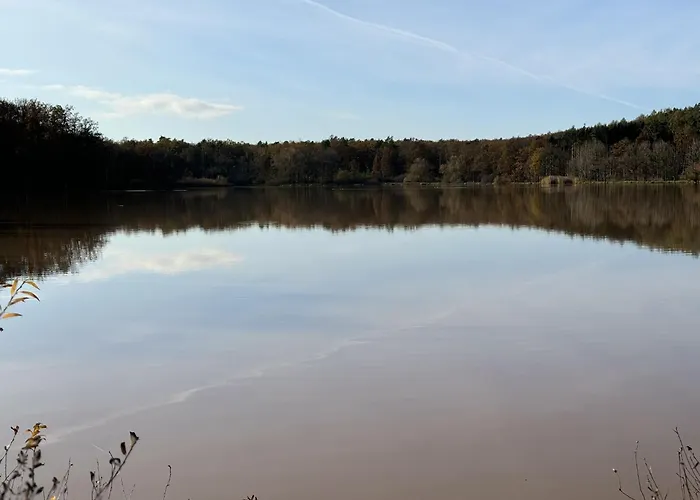 Reuthsee & Komfort & Hundefreundlicher Urlaub In Der Rhoen Holiday home *