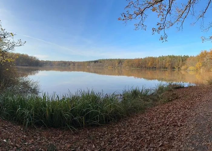 Reuthsee & Komfort & Hundefreundlicher Urlaub In Der Rhoen بيت للعطل *