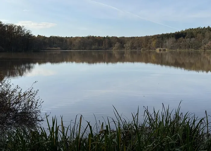 Reuthsee & Komfort & Hundefreundlicher Urlaub In Der Rhoen * Sulzdorf an der Lederhecke