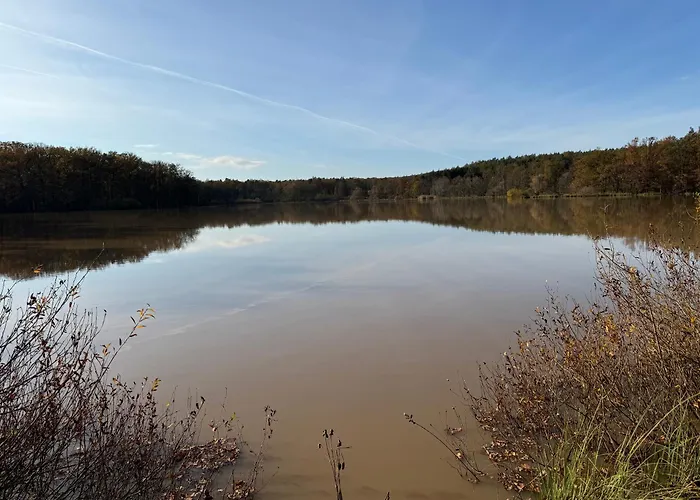 Reuthsee & Komfort & Hundefreundlicher Urlaub In Der Rhoen بيت للعطل Sulzdorf an der Lederhecke